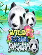 สูตร บา คา ร่า ดี จริง ไหม? มาลองกันเถอะ!